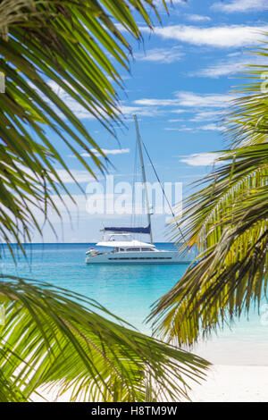 Katamaran Segelboot gesehen Trog Palme Blätter am Strand, Seychellen. Stockfoto