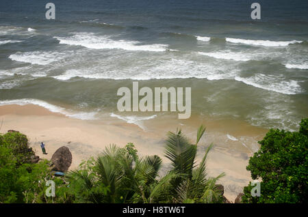 Palmen Sie gesäumten Strand in Varkala, Kerala, Südindien Stockfoto