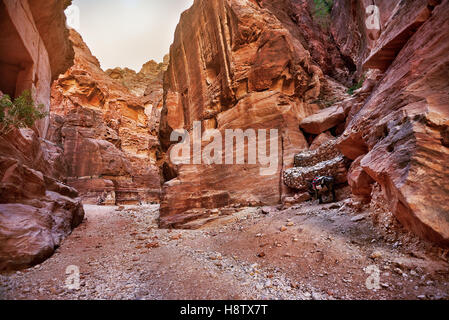 Alte Stadt von Petra, Jordanien Stockfoto