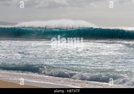 Surfen die Wellen am Ehukai Beach Park auf der nördlich von Oahu Hawaii, AKA der Welt-berühmten Banzai Pipeline Stockfoto