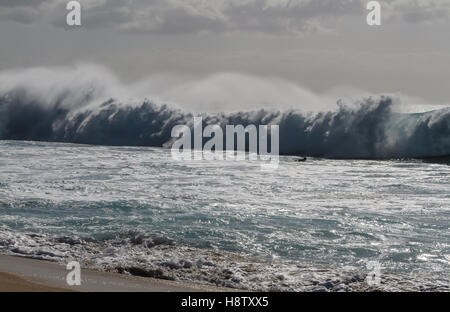 Surfen die Wellen am Ehukai Beach Park auf der nördlich von Oahu Hawaii, AKA der Welt-berühmten Banzai Pipeline Stockfoto