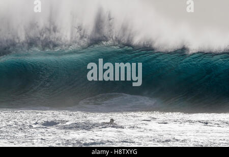 Surfen die Wellen am Ehukai Beach Park auf der nördlich von Oahu Hawaii, AKA der Welt-berühmten Banzai Pipeline Stockfoto