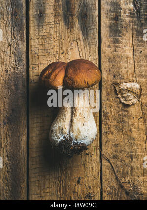 Frischem rohem weißen Wald Pilz auf rustikalen hölzernen Hintergrund Stockfoto