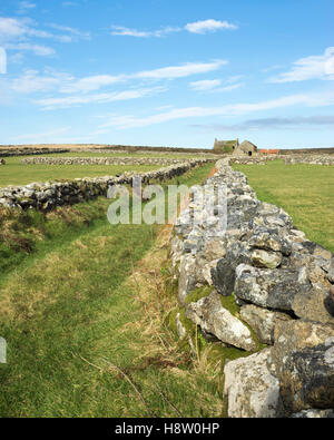 Verlassene Wirtschaftsgebäude in Feldern in der Nähe Morvah, Cornwall, England.  Grass Track und Steinmauern. Stockfoto