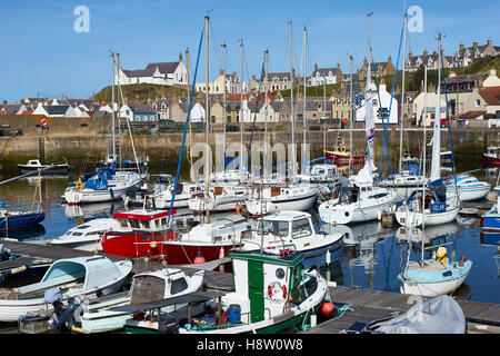 Findochty Hafen, Moray, Schottland Stockfoto