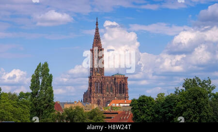 Kathedrale in Strassburg Im Elsass - Kathedrale von Straßburg im Elsass, Frankreich Stockfoto