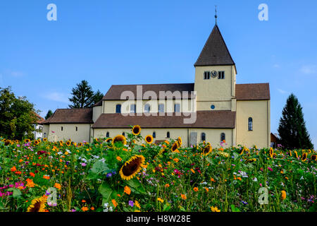 Wiese mit Blumen vor George Church, Obernzell, Insel Reichenau, Bodensee, Baden-Württemberg, Deutschland Stockfoto