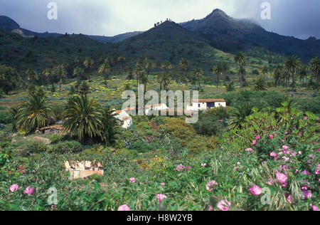 Benchijigua Dorf, Barranco de Benchijigua, La Gomera, Kanarische Inseln, Spanien, Europa Stockfoto