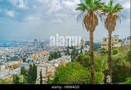 Der Blick auf die trübe Haifa vom Hang des Mount Carmel mit zwei schlanken Palmen im Vordergrund, Israel. Stockfoto