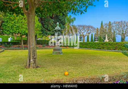 Das leuchtende Orange auf dem Rasen unter dem Baum im Garten der Bahai, Haifa, Israel. Stockfoto