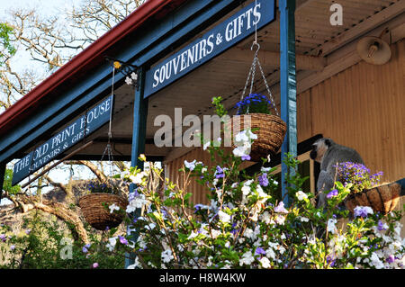 Südafrika: Die alte Print House, ein Souvenirladen Pilgrim es Rest, der zweite der Transvaal gold Felder Stockfoto