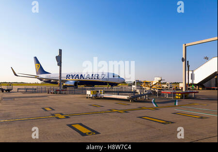 Abendlicht - Ryanair-Flugzeug Stockfoto