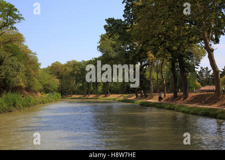 Der Canal du Midi in der Nähe von Carcassonne Stockfoto