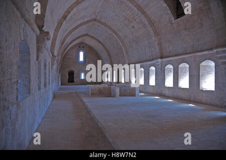 Großer Saal in einem französischen Schloss mit gotisch gewölbten Decke. Stockfoto