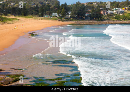 Blick nach Norden entlang Avalon Beach, einem der berühmten Nordstrände von Sydney, New South Wales, Australien Stockfoto