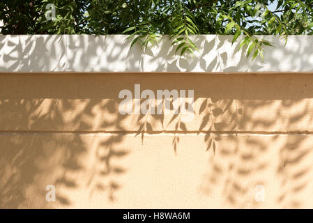 Blätter, die Schatten auf der Gartenmauer Stockfoto