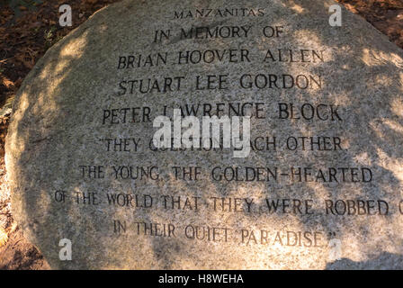 San Francisco, CA, USA, Detail, die Namen der Toten auf Stein im Golden Gate Park, National AIDS Memorial Grove Stockfoto