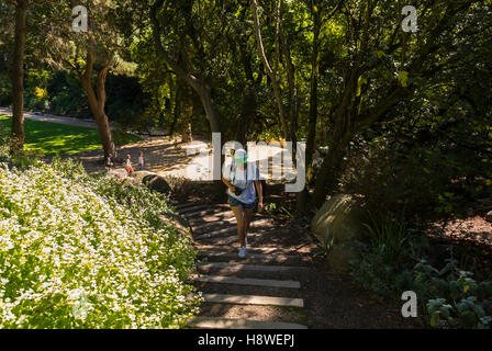 Frau im Garten, San Francisco, CA, USA, einem Besuch im Golden Gate Park, National AIDS Memorial Grove Stockfoto