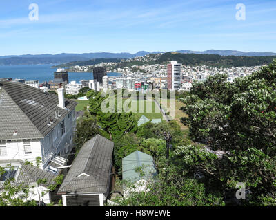 Blick auf Wellington vom Dominion Observatorium, Welington, Neuseeland Stockfoto