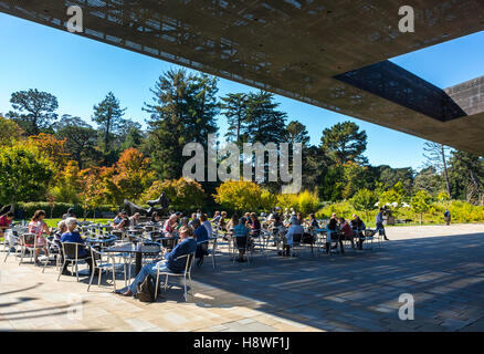 San Francisco, CA, USA, Menge teilen Getränke auf American Cafe Terrasse, öffentlichen Museum, De Young, moderne Kunst im Golden Gate Park Stockfoto