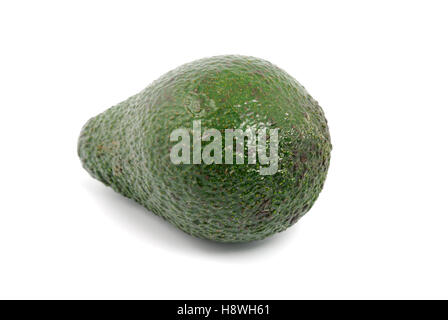 Die grünen Avocado auf weißem Hintergrund Stockfoto