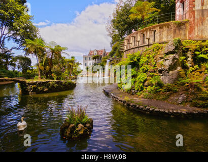 Portugal, Madeira, Funchal, Monte, Blick auf den Monte Palace Tropical Garden. Stockfoto