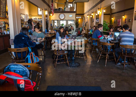 Berkeley, CA, USA, University of California, Studenten auf dem Campus, Im Amercan Bistro Restaurant mit Laptops, im Blue Door Cafe, Jugendliche, die draußen herumhängen Stockfoto