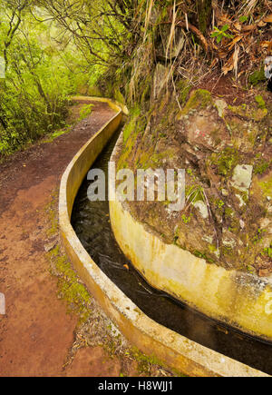 Portugal, Madeira, Blick auf die Levada da Serra tun Faial auf dem Teil von Ribeiro Frio, Portela. Stockfoto