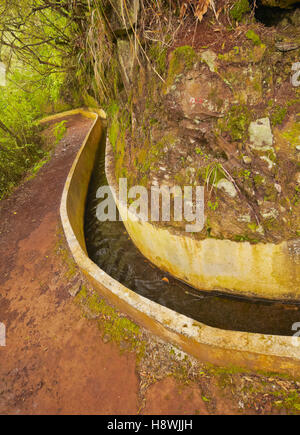 Portugal, Madeira, Blick auf die Levada da Serra tun Faial auf dem Teil von Ribeiro Frio, Portela. Stockfoto