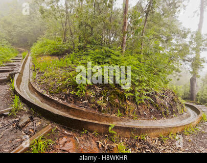 Portugal, Madeira, Blick auf die Levada da Serra tun Faial auf dem Teil von Ribeiro Frio, Portela. Stockfoto