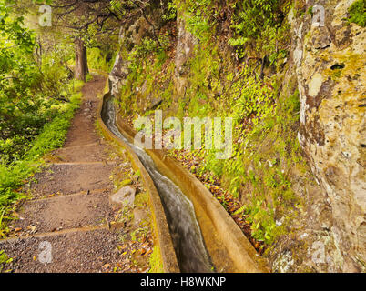 Portugal, Madeira, Blick auf die Levada da Serra tun Faial auf dem Teil von Ribeiro Frio, Portela. Stockfoto