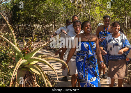 Tembe Elephant Park Stockfoto