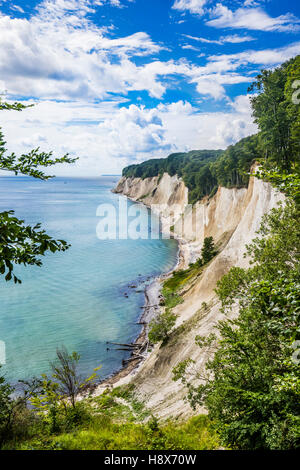 Kreide-Kliffküste im Jasmund National Park, nahe dem Königsstuhl (Königs Stuhl), Rügen, Mecklenburg-Vorpommern, Deutschland Stockfoto