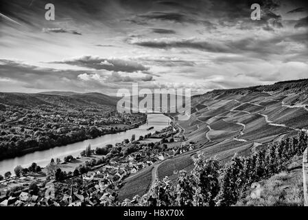Flusslandschaft der Mosel Stockfoto