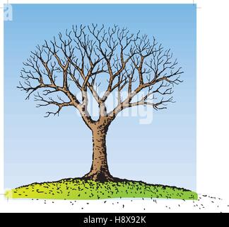  der Baum mit kahlen Äste zeichnen Vektor Abbildung - Bild: 125862902 