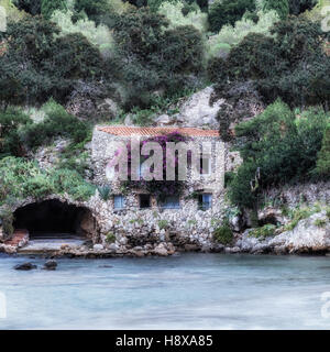 ein altes Bootshaus im Wald am Meer Stockfoto