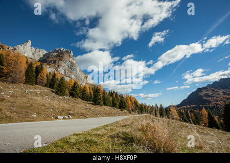 Herbstnachmittag in den Karnischen Alpen in der Nähe von Sappada, Italien. Dolomiten. Stockfoto