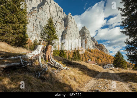 Herbstnachmittag in den Karnischen Alpen in der Nähe von Sappada, Italien. Dolomiten. Stockfoto