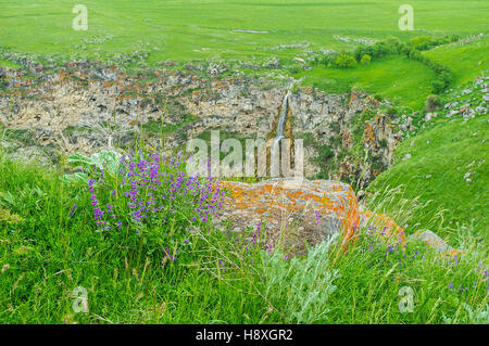 Die saftige grüne Wiese auf der Tableplain mit den Wildblumen, Felsbrocken, bedeckt mit Flechten und hohen Wasserfall im Hintergrund, Saro, Georgia. Stockfoto