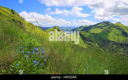 Panorama-Landschaft der vulkanischen Berge (Puy de Sancy, Massif Central, Frankreich) Stockfoto