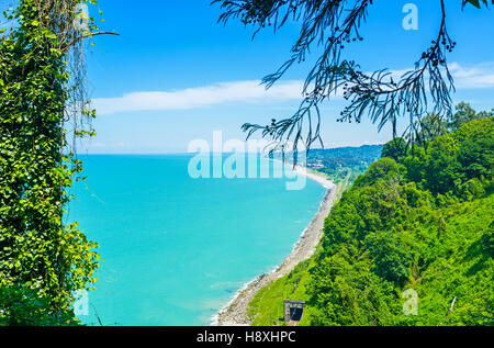 Das üppige Grün der Batumi Botanical Garden umfasst 108 Hektar Fläche von Grün Cape, Georgia. Stockfoto