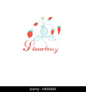 Vektor roten Erdbeeren auf weißem Hintergrund Stock Vektor