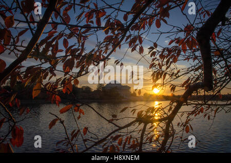 Sonnenuntergang hinter dem Jefferson Memorial, umrahmt von roten blätterte Kirschbäume am Ufer des Tidal Basin in Washington, DC. Stockfoto