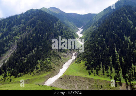 Schnee gefroren Himalaya River im Kaschmir-Tal bei Sonamarg Himalayan Bergen mit Wald, die Bäume Landschaft anzeigen Kaschmir Indien Stockfoto