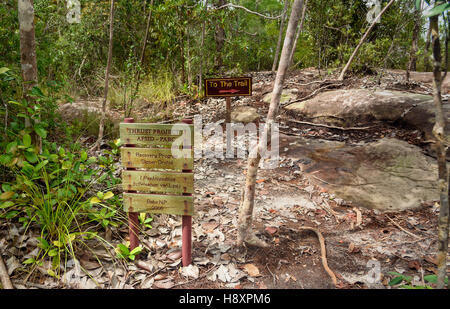 Zeiger im Bako Nationalpark, Sarawak. Borneo. Malaysien Stockfoto