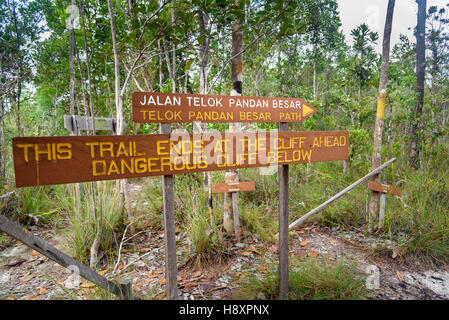 Zeiger im Bako Nationalpark, Sarawak Borneo Malaysia Stockfoto