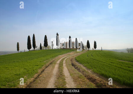 Bauernhof in der Nähe von Pienza, Zeile der Zypresse Bäume, Toskana, Italien, Europa Stockfoto