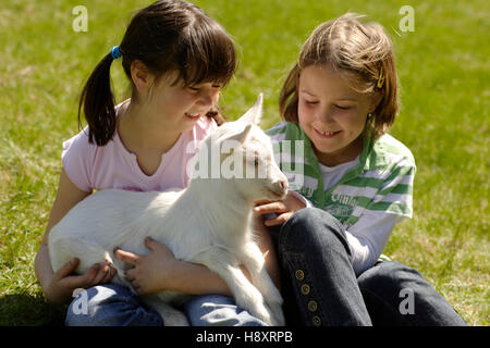 Zwei 8-jährige Mädchen mit einem Zicklein Stockfoto