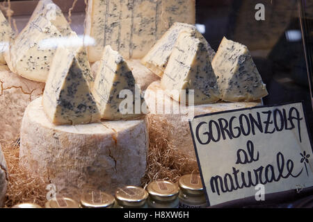 Gorgonzola-Käse auf Verkauf im Alba weiß Trüffelmesse in Alba, Italien Stockfoto
