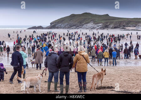 Eine Versammlung der Hund Spaziergänger auf Porth Beach, Newquay, Cornwall. Stockfoto